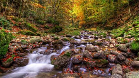 Mountain Stream 8hours Nature Sounds Perfect Relaxation Deep Sleep