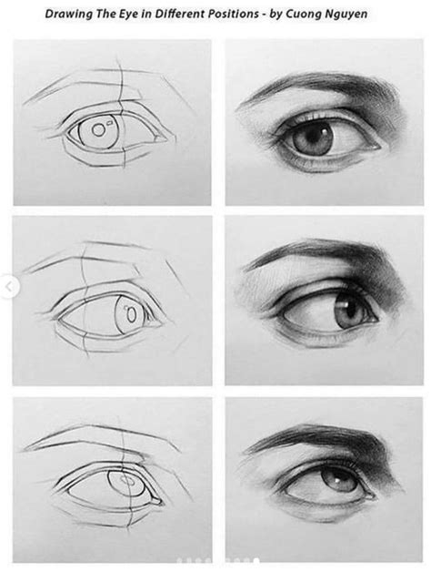 22 Drawing References For Complete Beginner Artists Eye