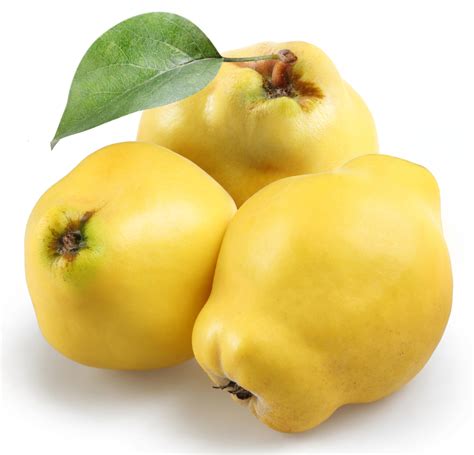 Quince Mister Produce