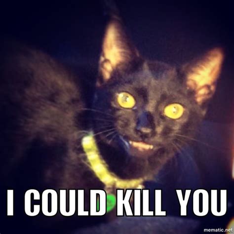Pin By Andrew Sanford On Creepy Cat Meme Creepy Cat Cat Memes Creepy