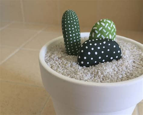Some euphorbias look more like a stereotypical. Rock Cactus Garden - Savlabot