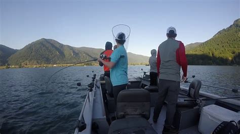 Almost all our fish were caught today of prawn spinners with brass or copper #3 colorado blades. Salmon Fishing Drano Lake with a hike to dog mountain ...