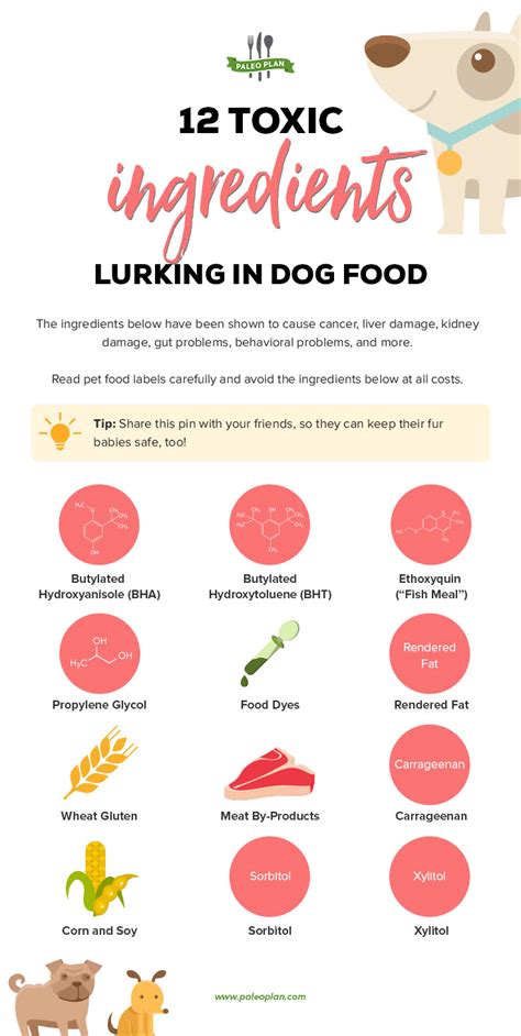 Attention Pet Lovers Avoid These 12 Toxic Ingredients In Dog Food