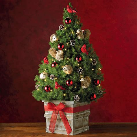 Christmas trees └ seasonal decorations └ celebrations & occasions └ home, furniture & diy all categories antiques art baby. Eye Candy 4 | Page 17 | US Message Board - Political ...