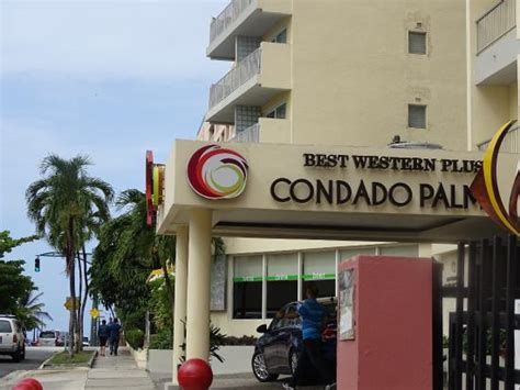 Antibiotika Bedeutung Viel Best Western Plus Condado Palm Huh Wetter