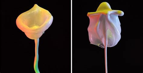Simply Creative Liquid Flowers By Jack Long