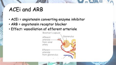 Effect Of Nsaids Ace Inhibitors And Arb On Kidneys Youtube