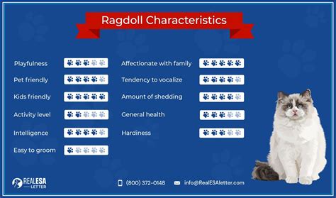 Ragdoll Chart A Visual Reference Of Charts Chart Master