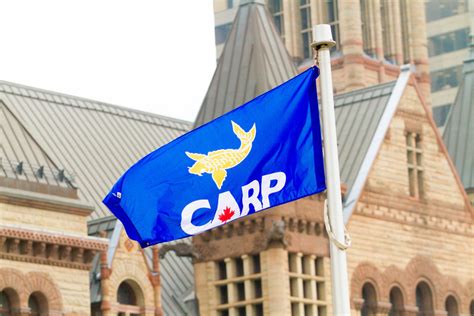 carp national seniors day flag raising carp