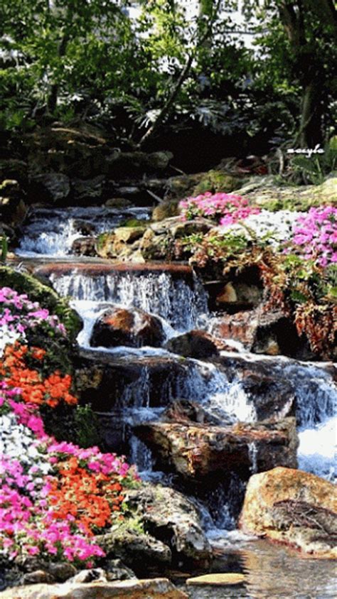 Animated Waterfall Pictures Photos And Images For