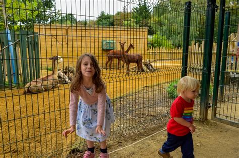 Paradise Wildlife Park A Review Mrs Hs Favourite Things