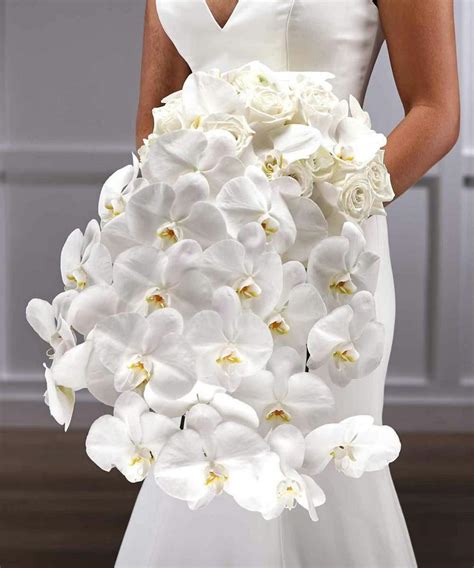 Bridal Orchid Cascade Bouquet Of White Flowers By Carithers Flowers Atlanta