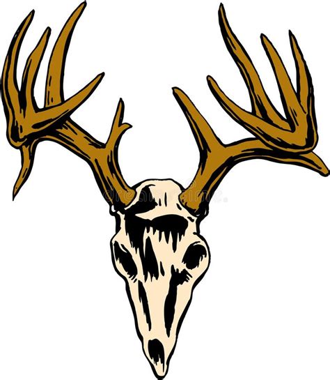 Deer Buck Skull Vector Illustration Stock Vector Illustration Of