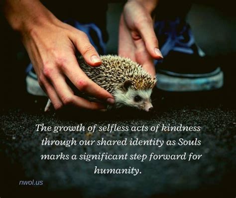 The Growth Of Selfless Acts Of Kindness New Waves Of Light