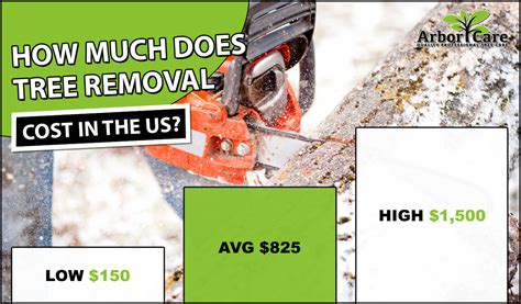 Tree Removal Cost 2020 Average Prices Near Me