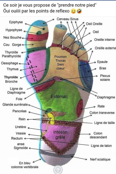 R Flexologie R Flexologie Acupressure Treatment Shiatsu Massage Reflexology