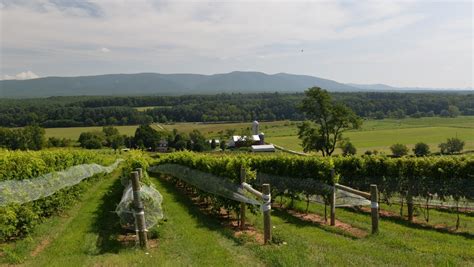 Exploring Virginia Wines And Wineries Virginia Wineries For Sale