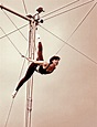 trapeze, Trapeze School of New York | Aerial arts, Art pole, Trapeze artist
