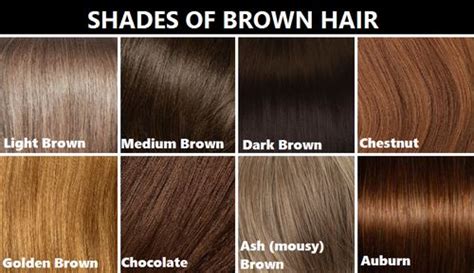 Some good diy options for most medium brown to medium blonde shades include: Shades of brown hair | Brown hair shades, Brown hair color ...