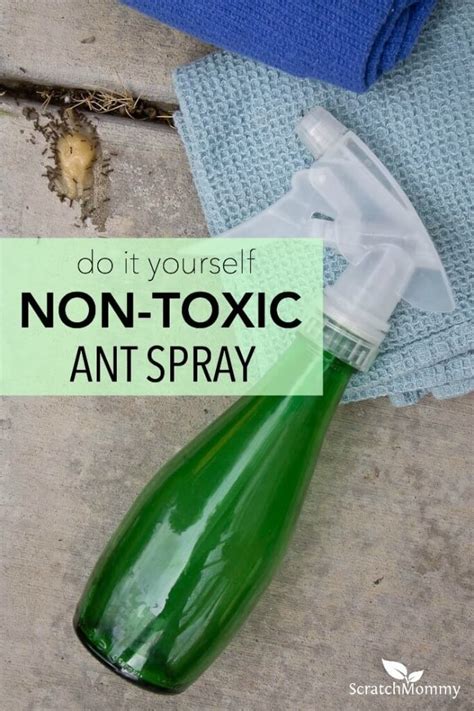 As much as i love spring, i don't like bugs — especially bugs that can infest a house. DIY Non-toxic Ant Spray (Kills On Contact) | Pronounce ...