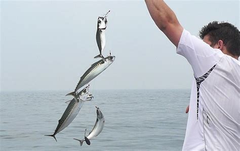 Tecnica Di Pesca A Bolentino 4fishing