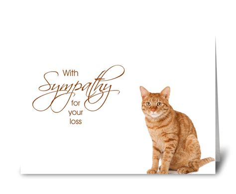 What To Write In A Sympathy Card For Loss Of Cat