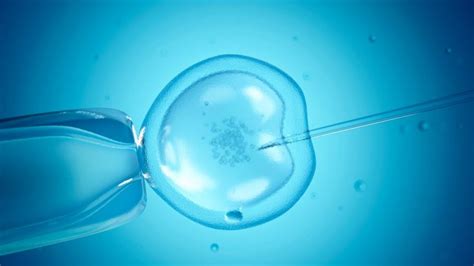 Busting 4 Myths About Ivf Methodist Health System Omaha Council Bluffs Fremont