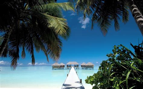 Nature Landscape Beach Walkway Palm Trees Sea Water Cabin