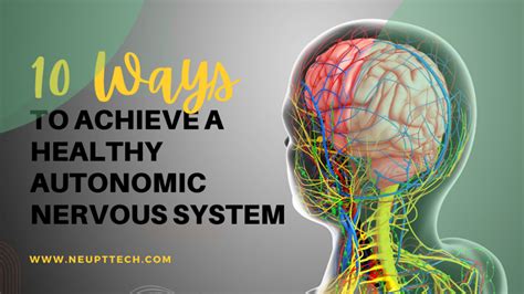 10 Ways To Achieve A Healthy Autonomic Nervous System Neupttech