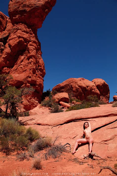 David Nudes Felisha Monumental Erotic Lady Nude Gallery