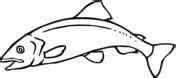 Download Salmon coloring pages | Free Coloring Pages