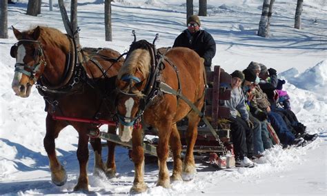 This Years Elliot Lake Winterfest Stand Alone Fun For All Elliot Lake News