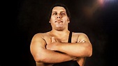 WWE Andre The Giant Wallpapers - Wallpaper Cave