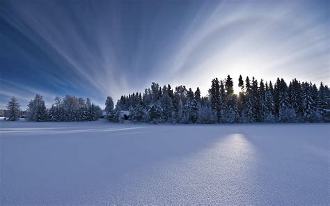 Winter Dawn Wallpapers Wallpaper Cave