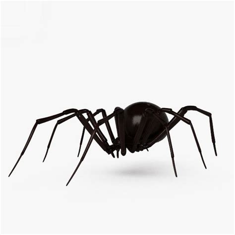 Black Widow Spider 3d Model 5 3ds Obj Free3d