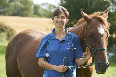 Answering Services For Veterinarians Voicelink Communications