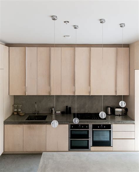 The Kitchen Is Designed With Plywood Cabinets And Integrated Appliances