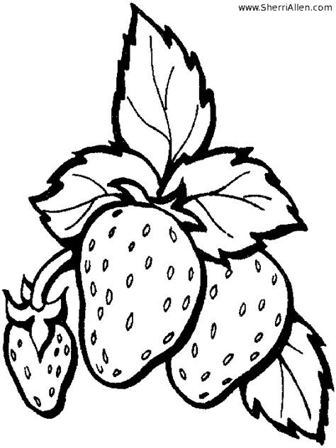 Strawberry Plant Coloring Pages