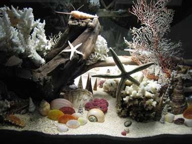 Wisata bahari lamongan pada awalnya bernama tanjung kodok yang dikembangkan oleh 2 investor yang berasal dari singapore dan malang. articles of technology: sea shell and ship gallery