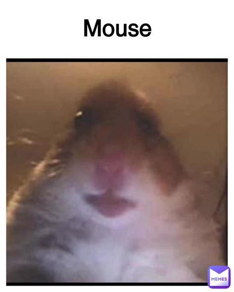 Mouse Pablomonke Memes