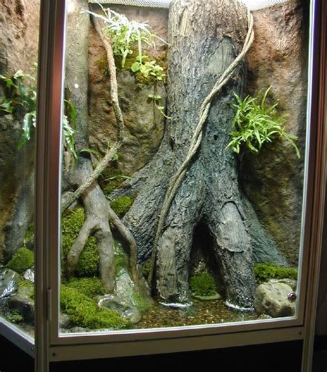 Buy vivarium starter kit and get the best deals at the lowest prices on ebay! http://i51.photobucket.com/albums/f359/Terracom/paludaria ...