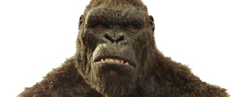 King Kong Png Organical