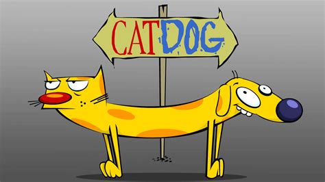 Catdog Cartoon Wallpapers Top Free Catdog Cartoon Backgrounds