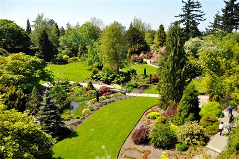 canada, Gardens, Vancouver, Shrubs, Trees, Lawn, Queen, Elizabeth ...