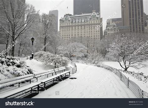 Central Park New York City During Snow Storm In The Early Morning