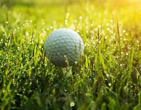 Golf Ball On Green Grass In Beautiful Golf Course At Sunset Background