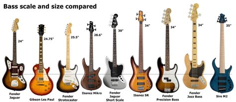 Electric Guitar Vs Bass A Deep Dive Into Their Distinctive Worlds