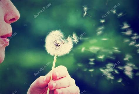 Woman Blowing On Dandelion — Stock Photo © Graphicphoto 53619121