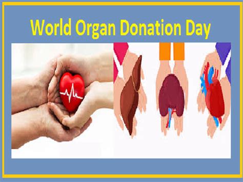 World Organ Donation Day 2022 History Significance Ty