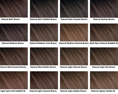 Brown Hair Color Chart Medium Hair Styles Ideas Inside Dark